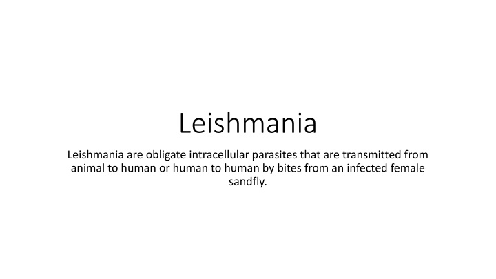Leishmaniasis: Transmission, Symptoms, and Epidemiology