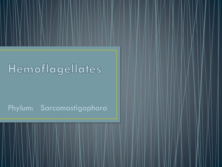 Medically Important Hemoflagellates: Trypanosoma and Leishmania