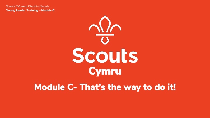 Scouts Mn and Cheshire Young Leader Training Module C in Cymru