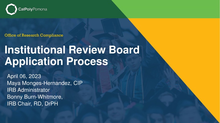 Institutional Review Board Application Process