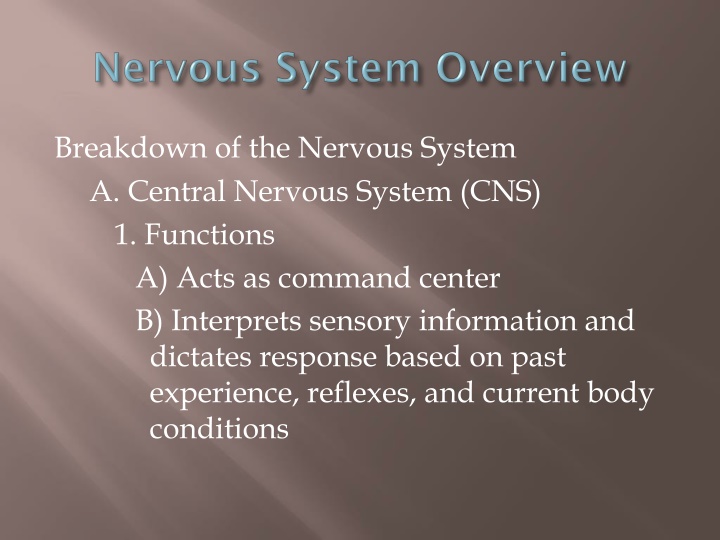 Overview of the Nervous System Components and Functions