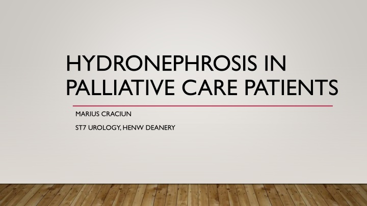 Management of Hydronephrosis in Palliative Care Patients: Guidelines and Considerations
