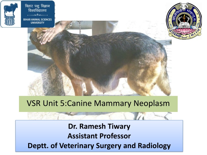 Canine Mammary Neoplasms: Overview and Management by Dr. Ramesh Tiwary