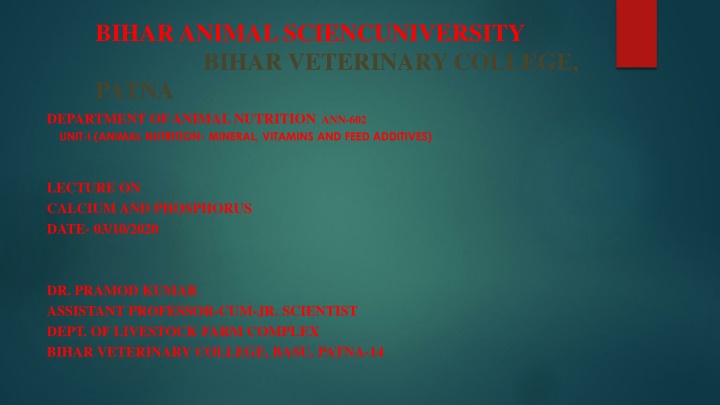 Importance of Calcium and Phosphorus in Animal Nutrition