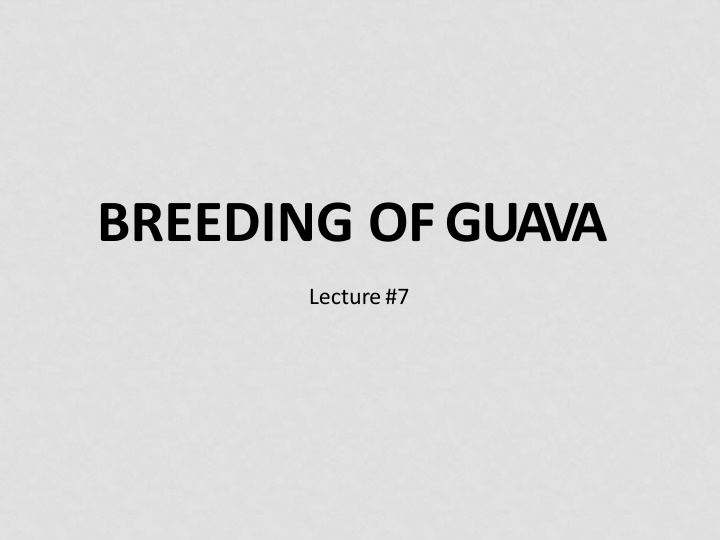 Guava Breeding: Strategies and Objectives for Improved Cultivation