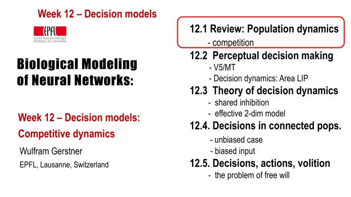Decision Models in Neural Networks: Population Dynamics, Perceptual Decision Making, and Theory