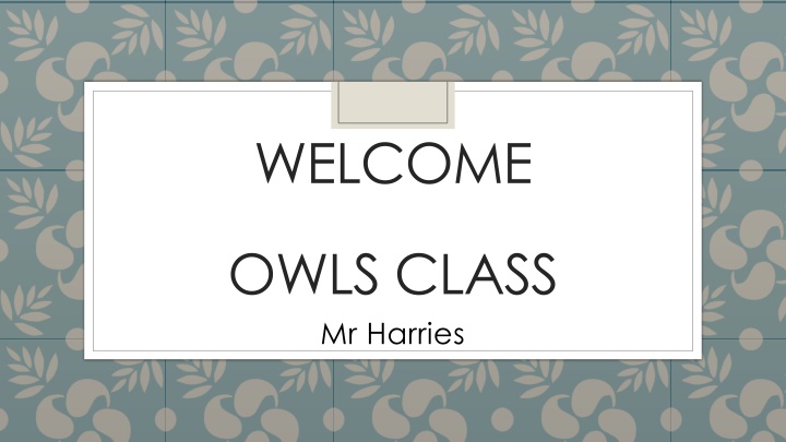 Managing Student Behavior at Owl's Class with Mr. Harries