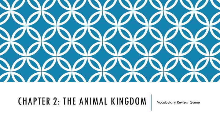 Animal Kingdom Vocabulary Review Game