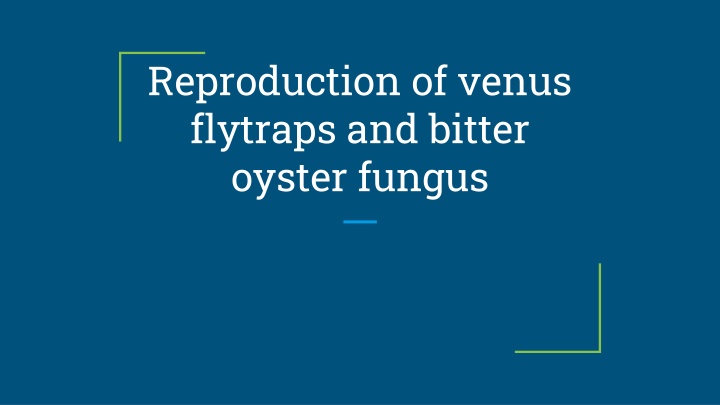The Fascinating Reproduction and Characteristics of Venus Flytraps and Bitter Oyster Fungus