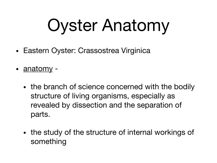 Anatomy of Eastern Oysters: A Detailed Study