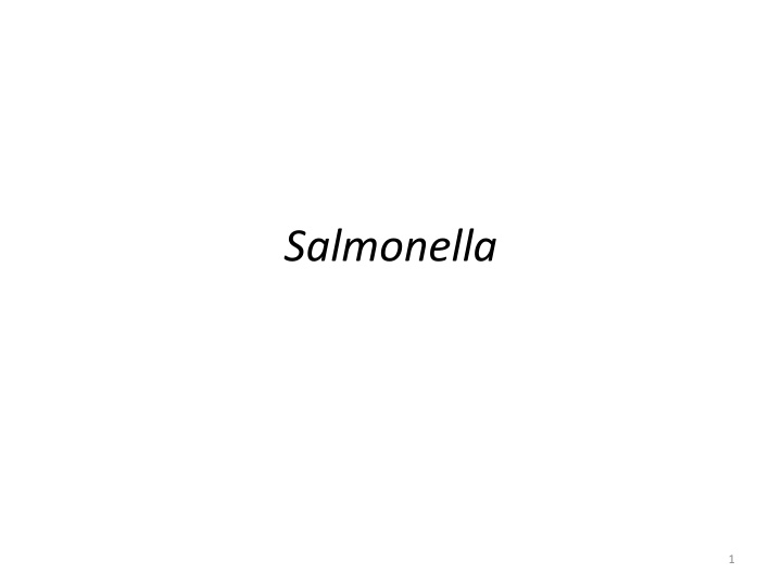 Insights into Salmonella Bacteria and Outbreaks