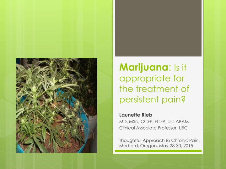 Marijuana for Persistent Pain: A Thoughtful Approach