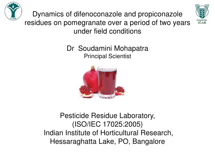 Dynamics of Difenoconazole and Propiconazole Residues on Pomegranate Over Two Years