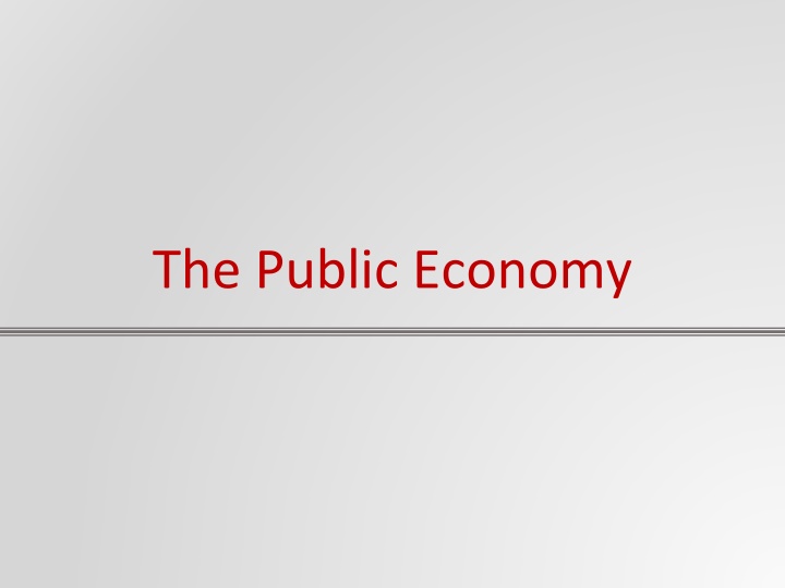 Challenges of Democratic Governments in Economic Policy Making