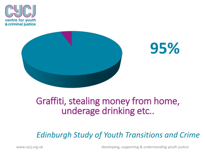 Youth Justice: Understanding Risks and Vulnerabilities