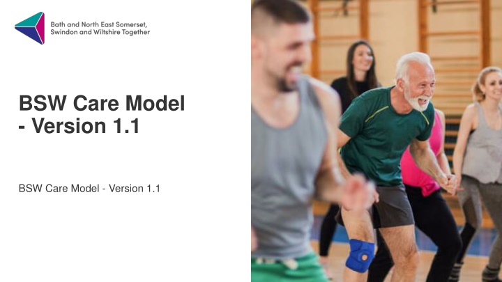 BSW Care Model - Version 1.1