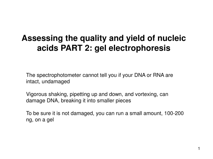 Gel Electrophoresis for Assessing Nucleic Acid Quality