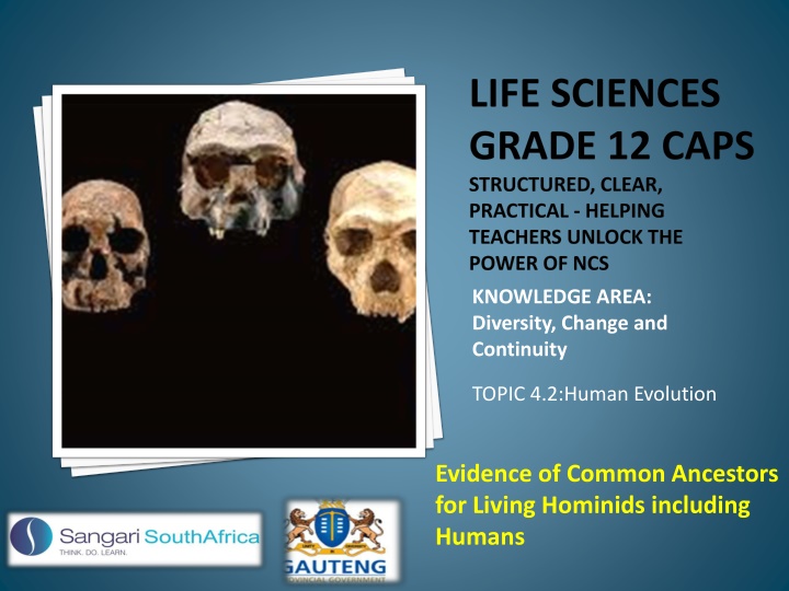 Human Evolution: Evidence of Common Ancestors