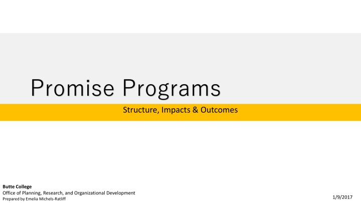 Promise Programs: Structure, Impacts & Outcomes