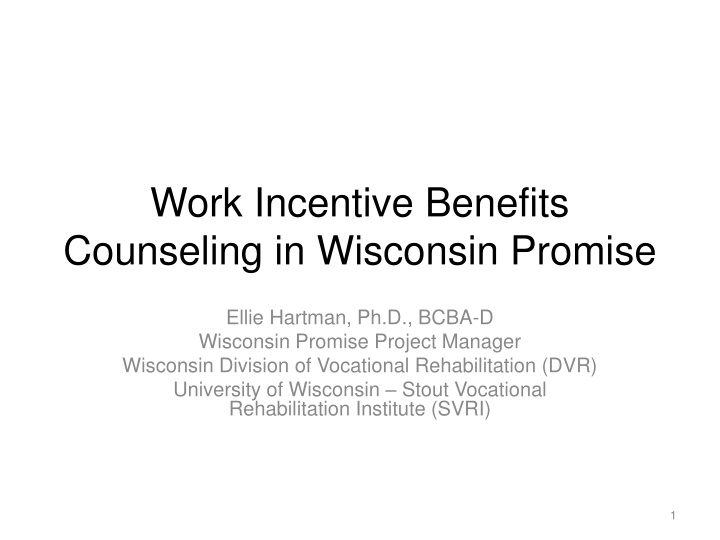 Benefits Counseling for Work Incentives in Wisconsin Promise Project