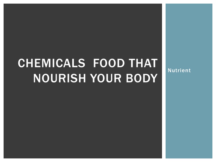 Essential Nutrients for a Healthier Body