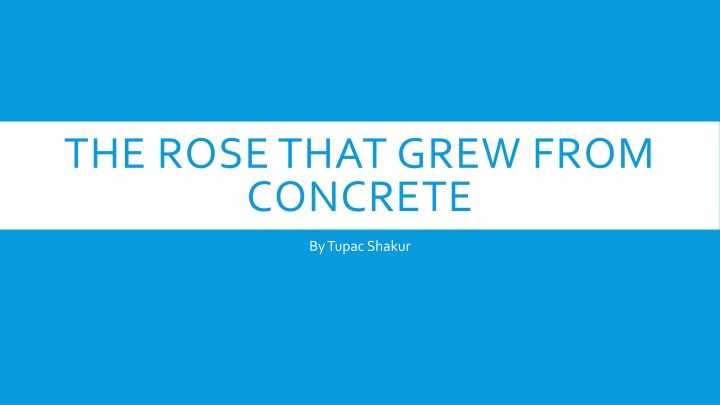 Tupac Shakur: The Rose That Grew from Concrete