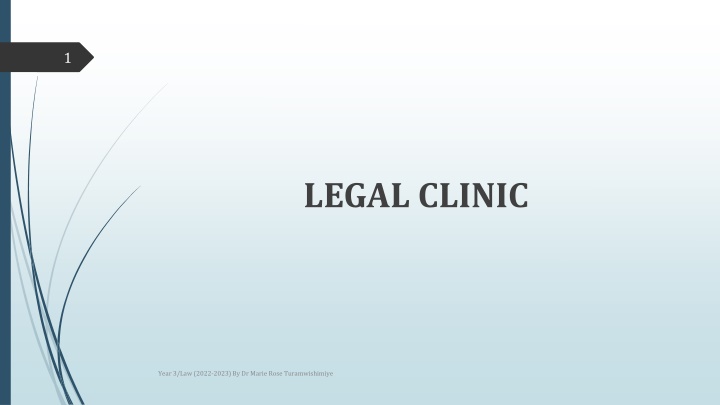 Legal Clinics: Redressing Injustice and Fostering Professionalism
