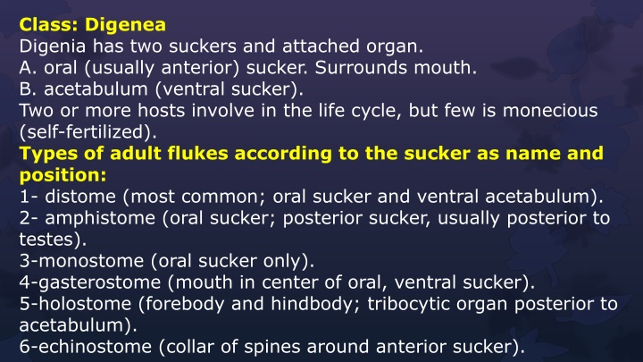 Anatomy and Biology of Class Digenea Digenia Adult Flukes