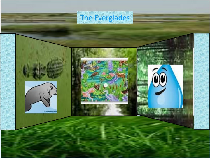 Discovering the Diverse Ecosystem of the Everglades