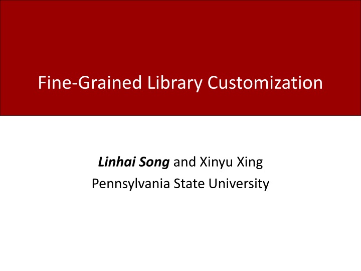 Effective Debloating Techniques for Library Customization