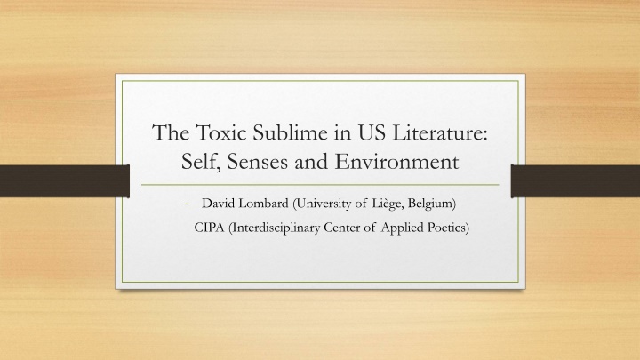 Exploring the Toxic Sublime in US Literature