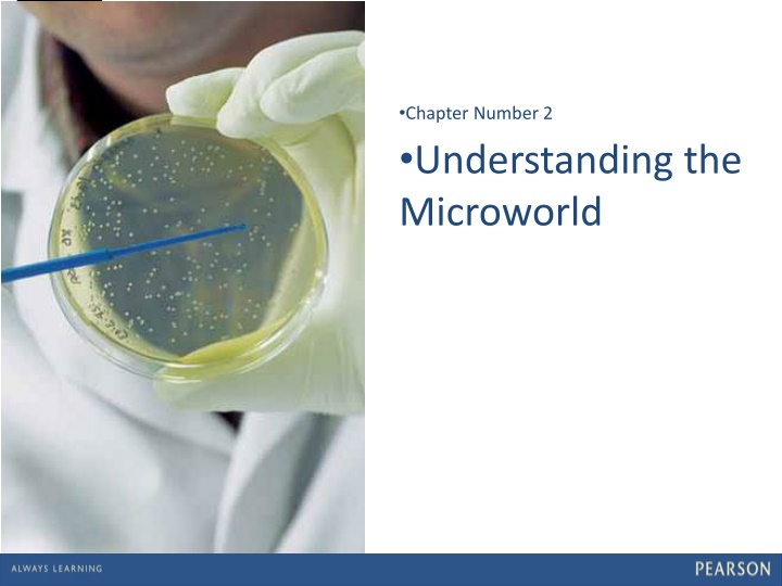 The Microworld: Factors Affecting Foodborne Pathogens