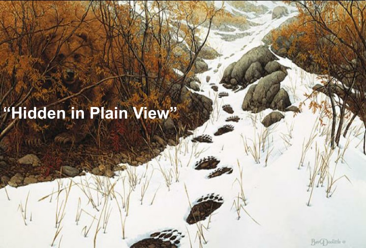 The Unveiling of God: A Reflection on Spiritual Blindness