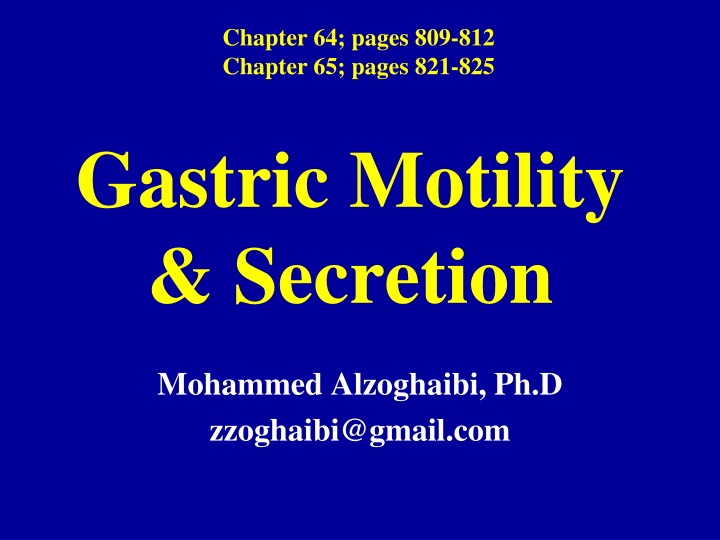 Gastric Motility and Secretion in the Stomach: Functions and Division Overview