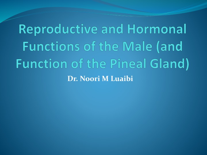 Male Reproductive and Hormonal Functions