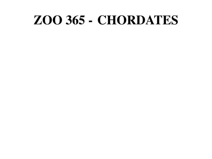 Diversity of Chordates in the Animal Kingdom