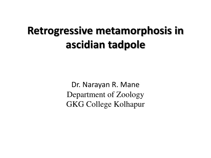 Retrogressive Metamorphosis in Ascidian Tadpole