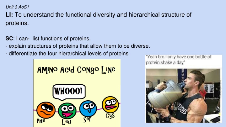 Protein Structure and Function Diversity