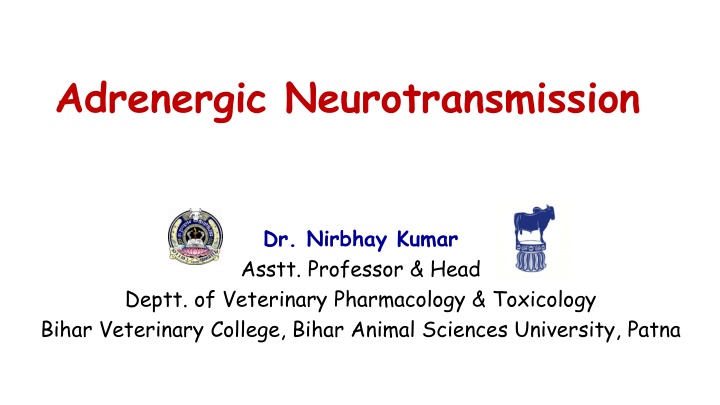Adrenergic Neurotransmission in Veterinary Pharmacology