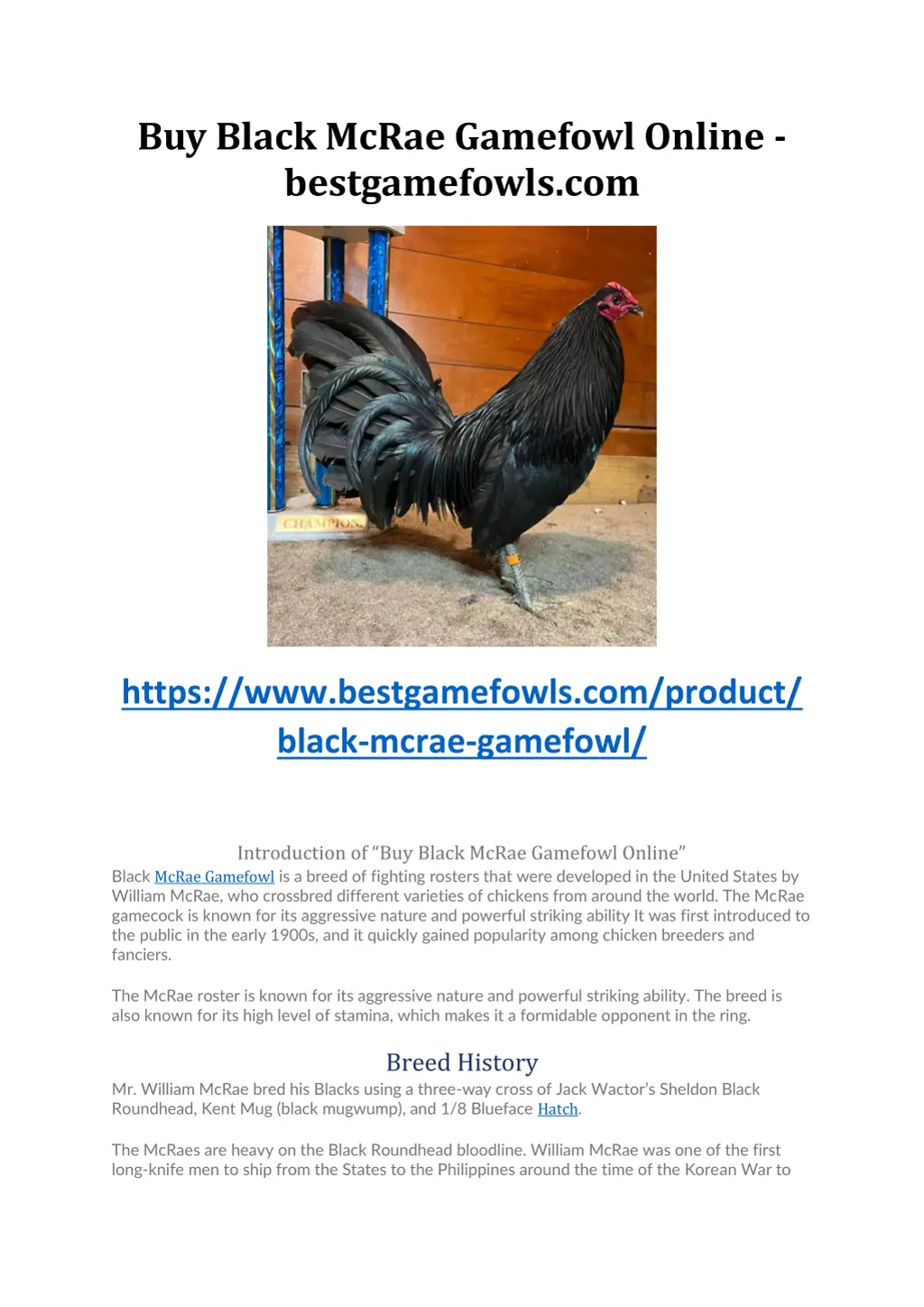 buy black mcrae gamefowl online bestgamefowls com n.