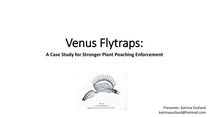 Plant Poaching Enforcement: A Case Study for Stronger Protection Laws