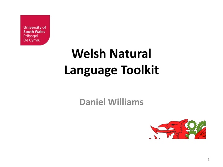 Welsh Natural Language Toolkit Overview