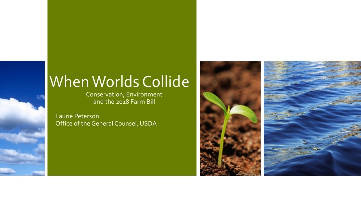 Conservation Challenges and Opportunities in the 2018 Farm Bill