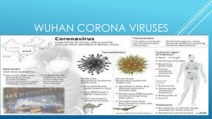 The History and Epidemic Potential of Coronaviruses