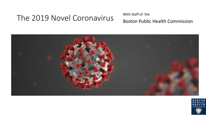 The 2019 Novel Coronavirus (COVID-19) and Preventive Measures