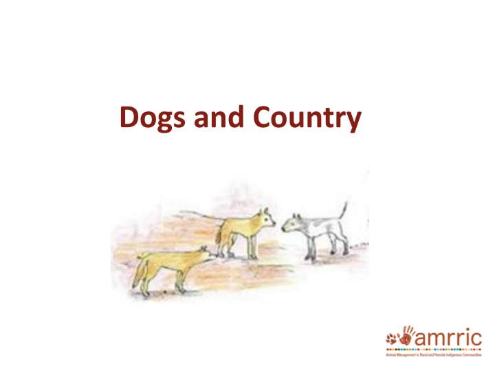 Managing Dogs in Country Areas for Community Health