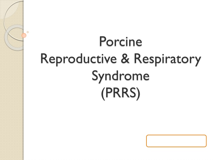 Porcine Reproductive & Respiratory Syndrome (PRRS)