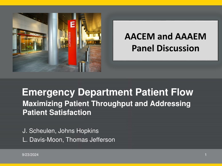 Maximizing Emergency Department Patient Flow and Addressing Patient Satisfaction in Panel Discussion