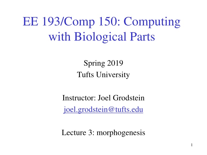Morphogenesis and Regenerative Medicine in Computing with Biological Parts