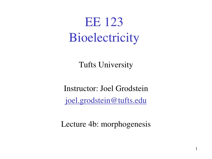 Bioelectricity and Regenerative Medicine in Morphogenesis
